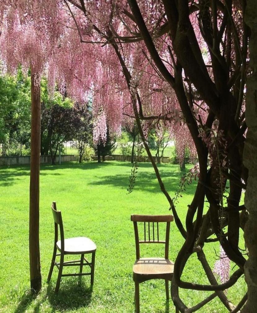 La Taverna Fra Le Colline Arezzo Buitenkant foto